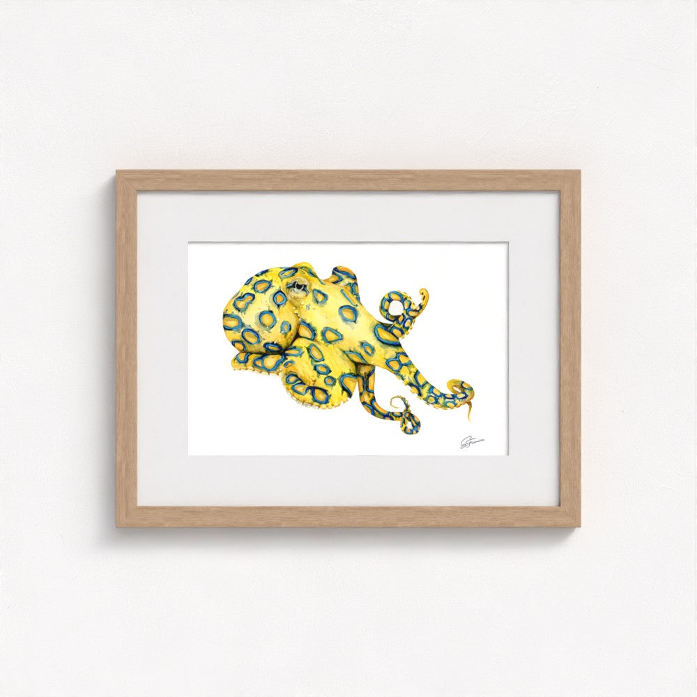 Blue Ringed Octopus Fine Art Print | Premium Collection