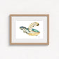 Hawksbill Sea Turtle Fine Art Print | Premium Collection