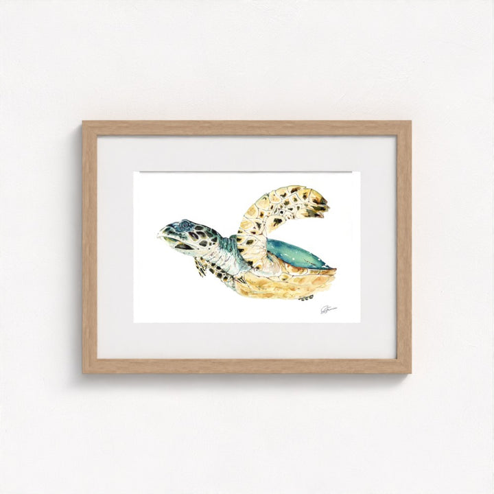 Hawksbill Sea Turtle Fine Art Print | Premium Collection