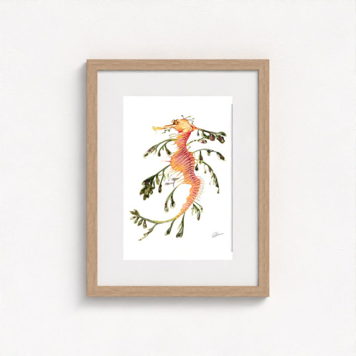 Leafy Seadragon Fine Art Print | Premium Collection