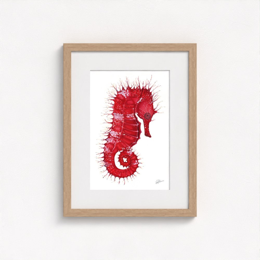 Seahorse Serenade Fine Art Print | Premium Collection