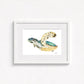 Hawksbill Sea Turtle Fine Art Print | Premium Collection