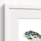 Hawksbill Sea Turtle Fine Art Print | Premium Collection