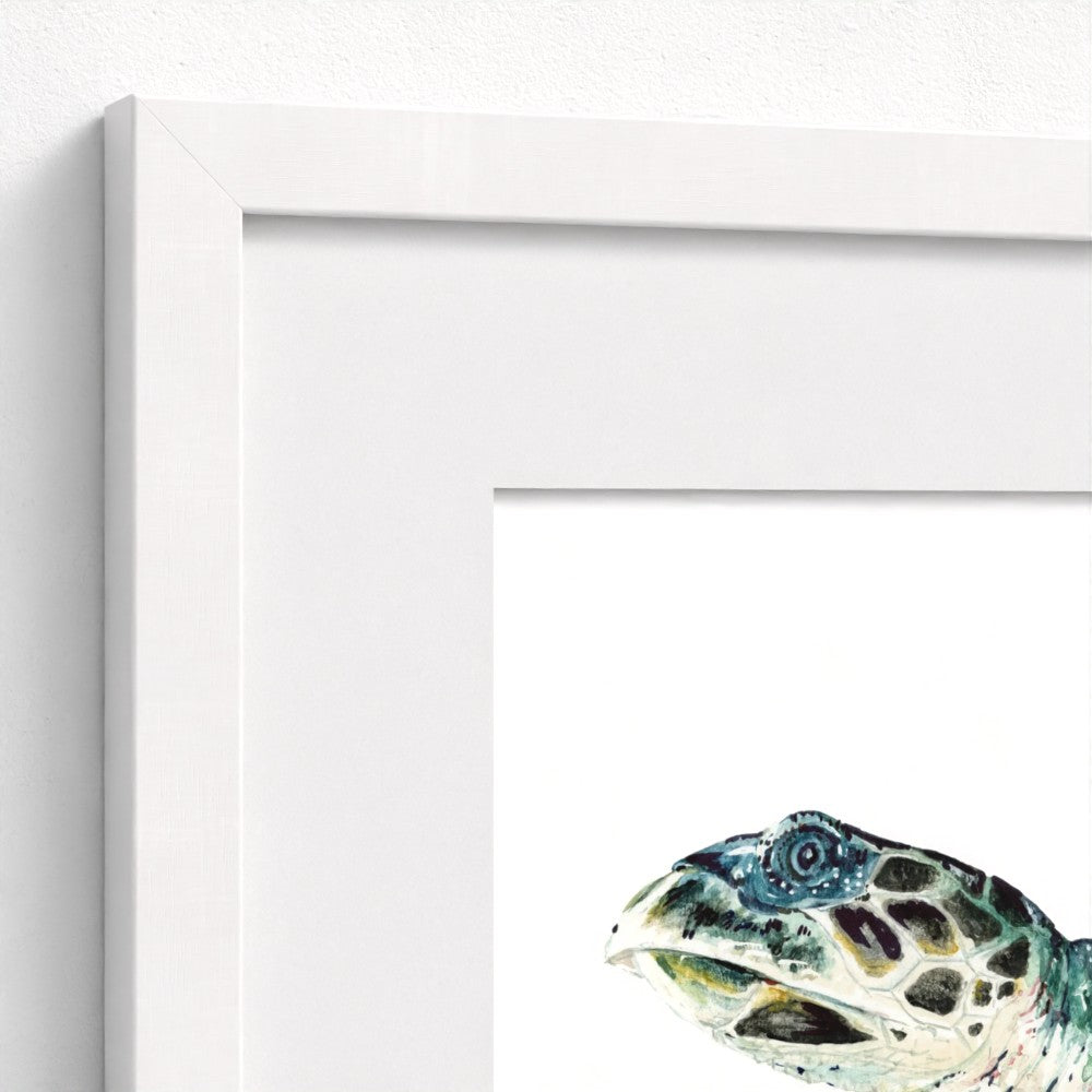 Hawksbill Sea Turtle Fine Art Print | Premium Collection