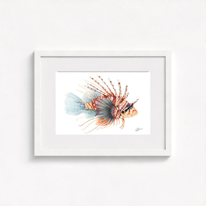 Lionfish Watercolour Fine Art Print | Premium Collection