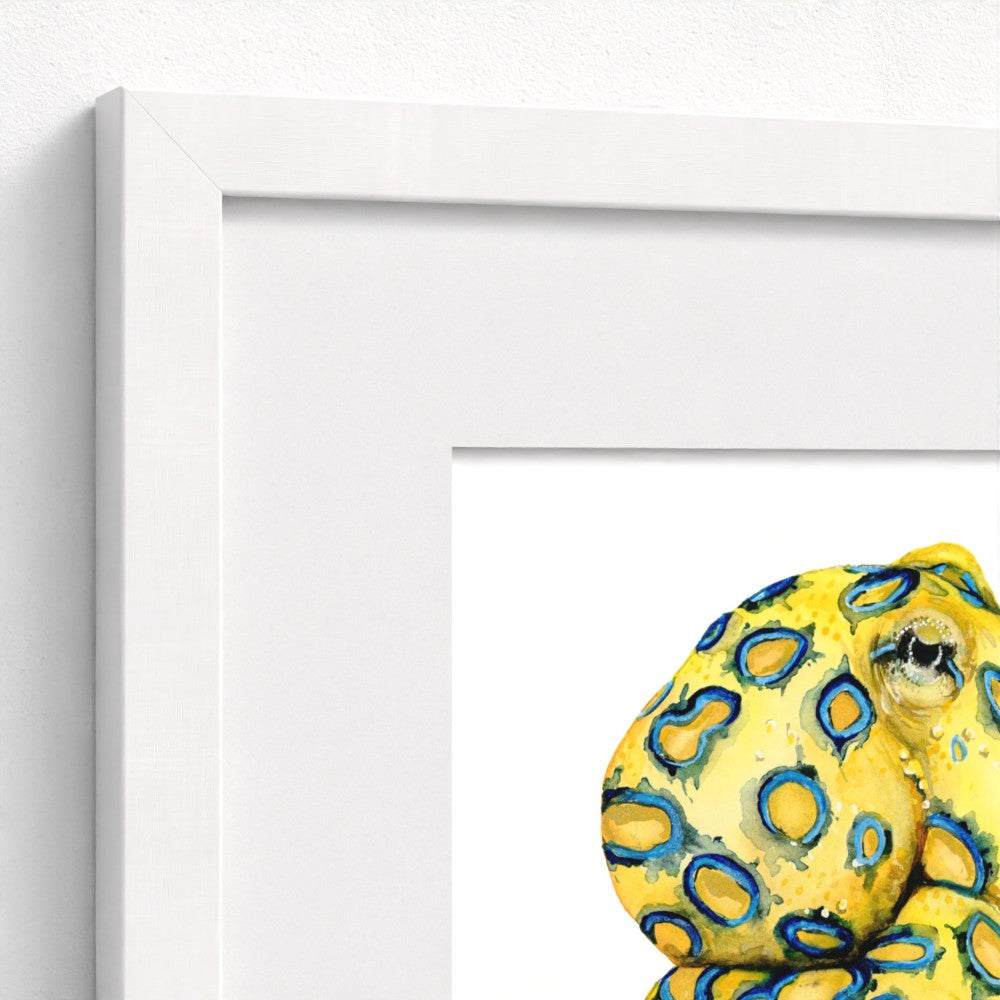 Blue Ringed Octopus Fine Art Print | Premium Collection