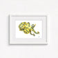 Blue Ringed Octopus Fine Art Print | Premium Collection