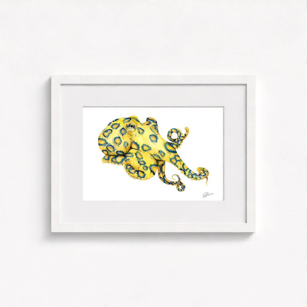 Blue Ringed Octopus Fine Art Print | Premium Collection