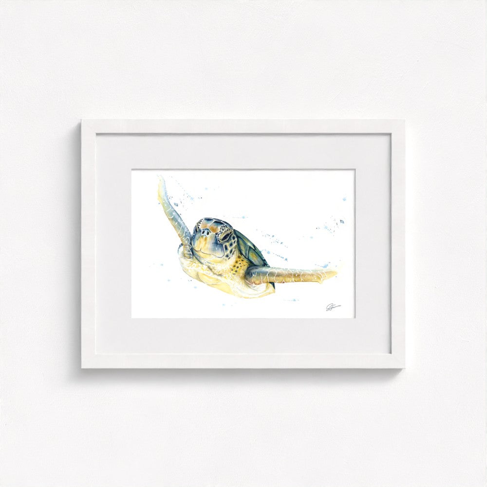 Green Sea Turtle Fine Art Print | Premium Collection