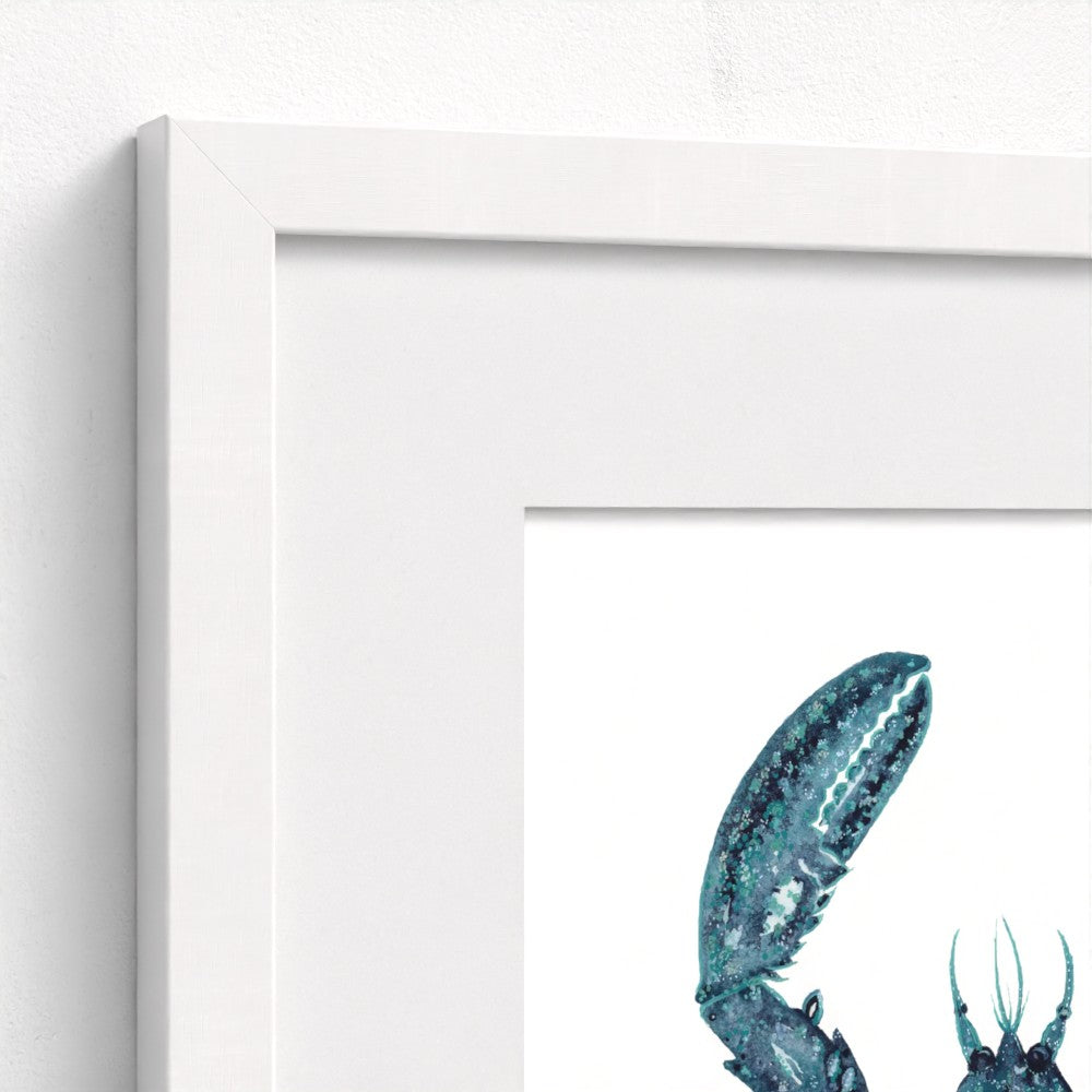 close up of lobster claw and white frame detail