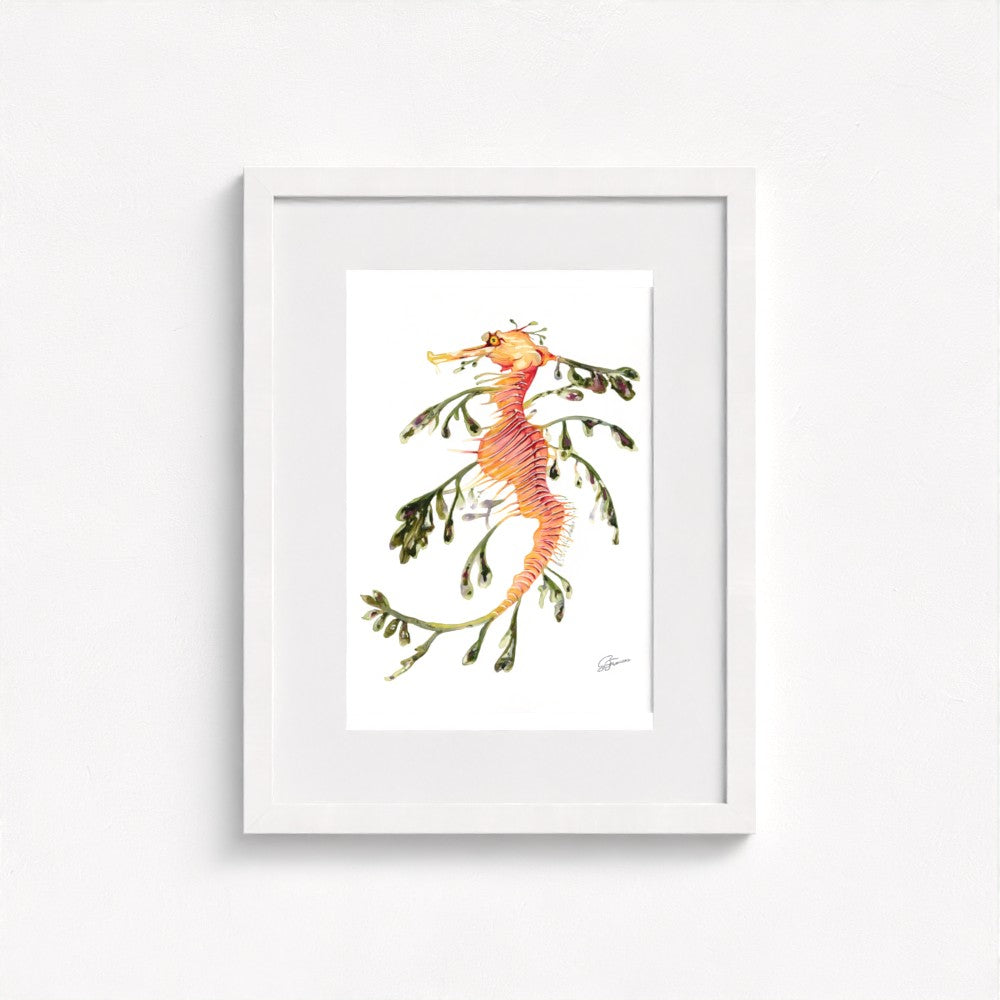 Leafy Seadragon Fine Art Print | Premium Collection