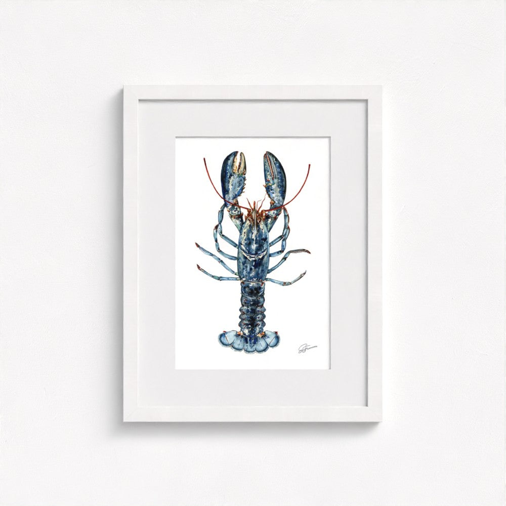Atlantic Lobster Fine Art Print | Premium Collection
