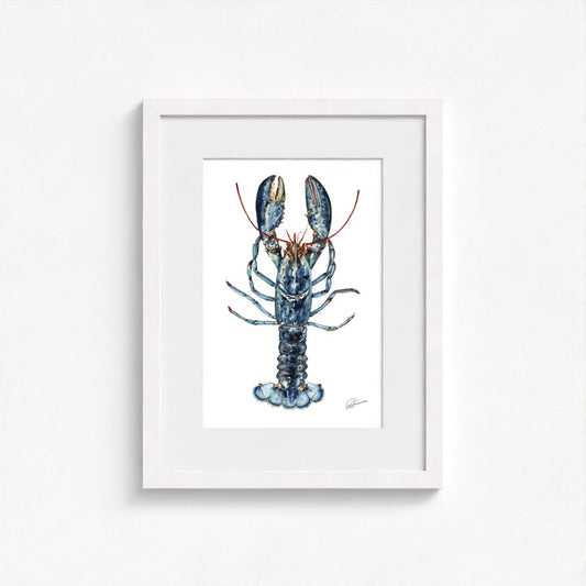 Atlantic Lobster Fine Art Print | Premium Collection