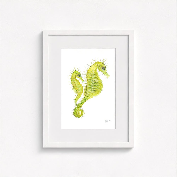 Spiny Seahorse Fine Art Print | Premium Collection