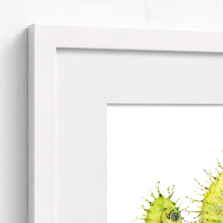 Spiny Seahorse Fine Art Print | Premium Collection
