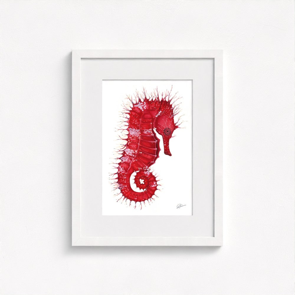 Seahorse Serenade Fine Art Print | Premium Collection