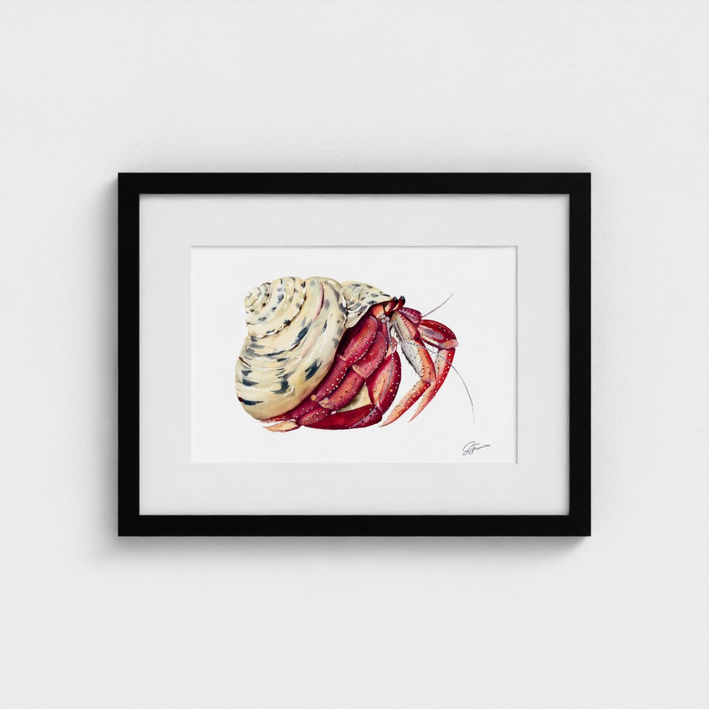 Premium collection: The wonder of the shore.