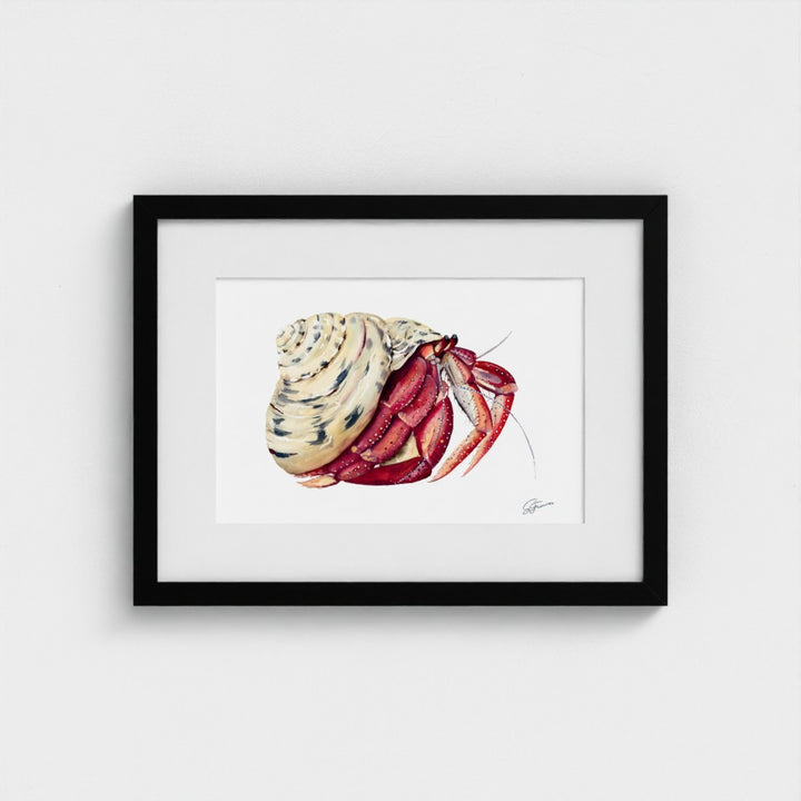 Premium collection: The wonder of the shore.