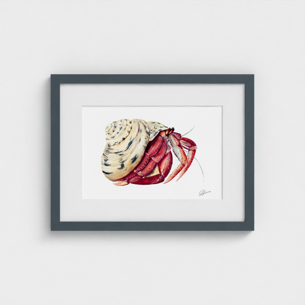 Premium collection: The wonder of the shore.