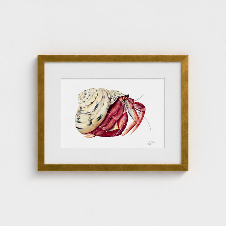 Premium collection: The wonder of the shore.