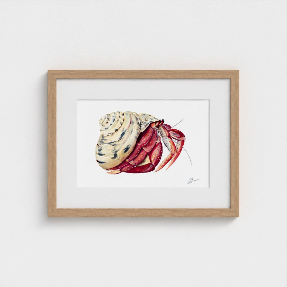 Premium collection: The wonder of the shore.