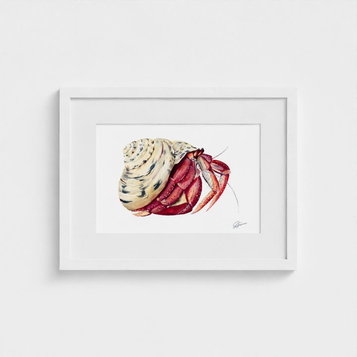 Premium collection: The wonder of the shore.