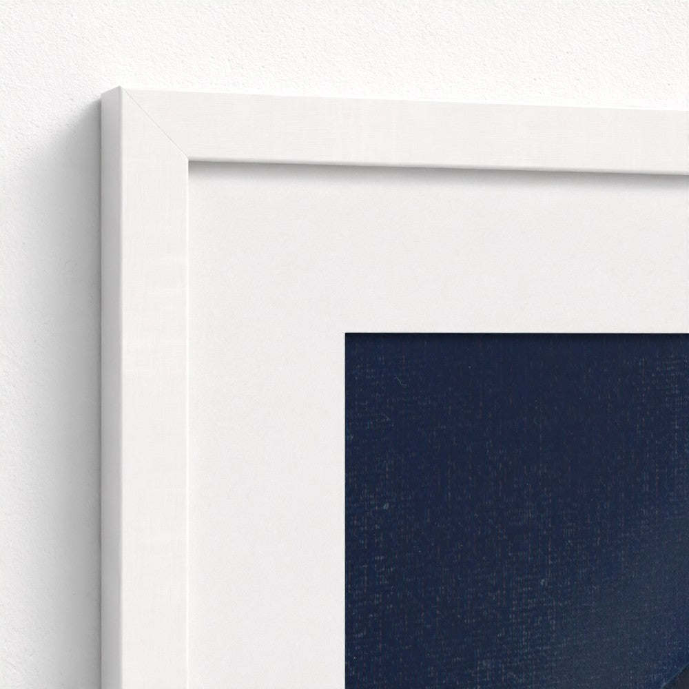 Turtle Head Fine Art Print | Premium Collection