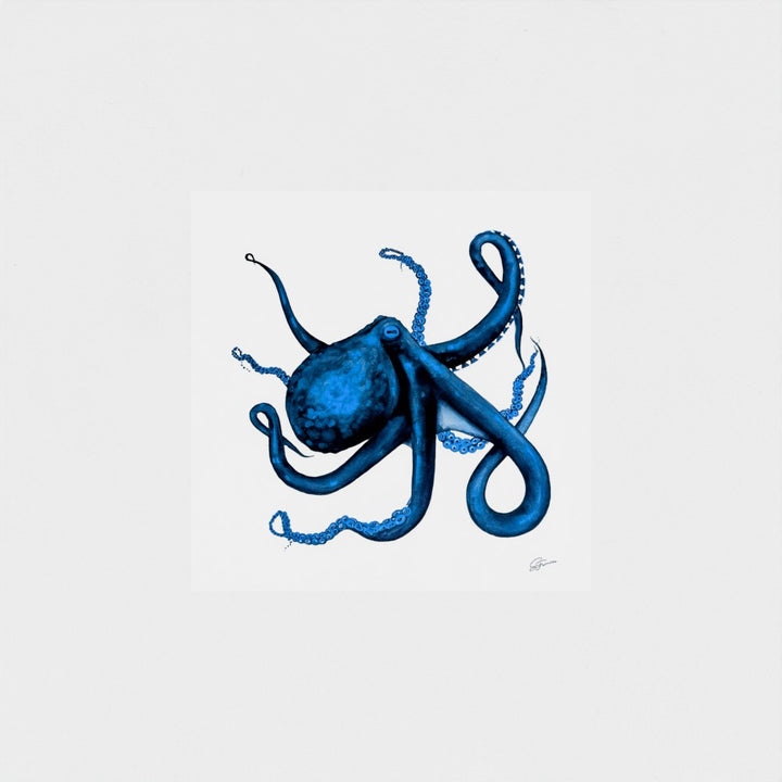 Velvet Depths Fine Art Print | Premium Collection