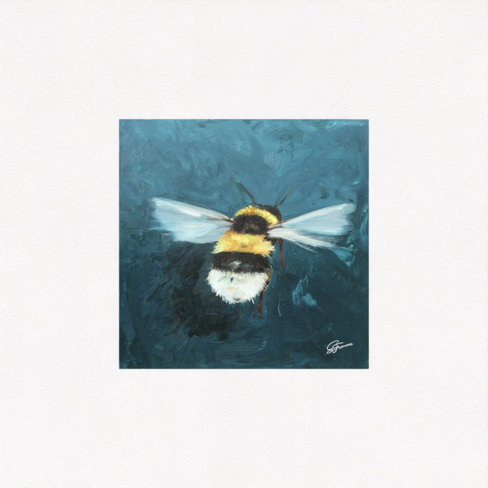 Buff-Tailed Bumblebee Fine Art Print | Premium Collection