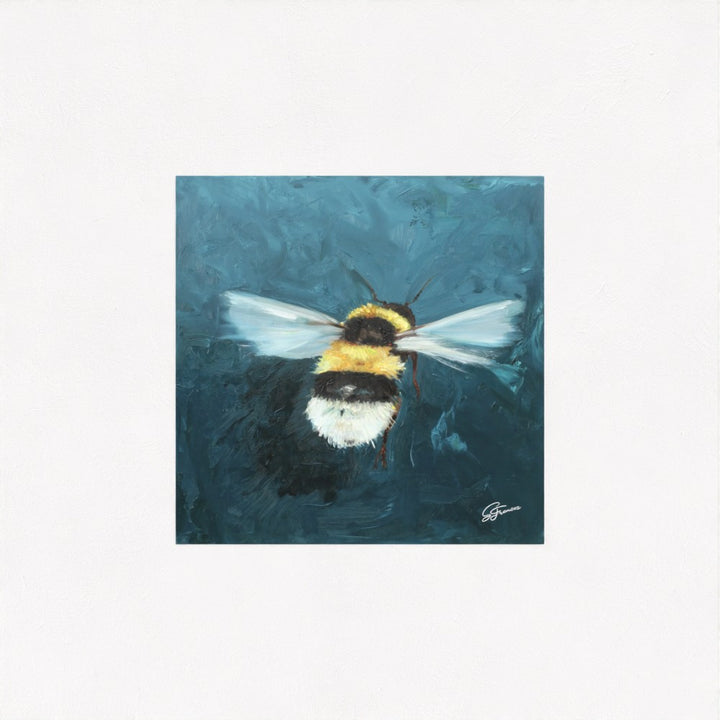 Buff-Tailed Bumblebee Fine Art Print | Premium Collection