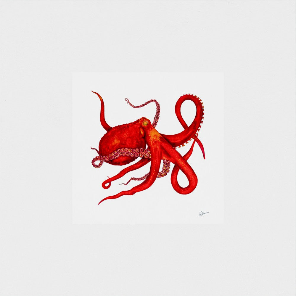 Presence Fine Art Print | Premium Collection