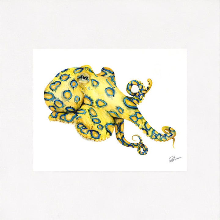 Blue Ringed Octopus Fine Art Print | Premium Collection