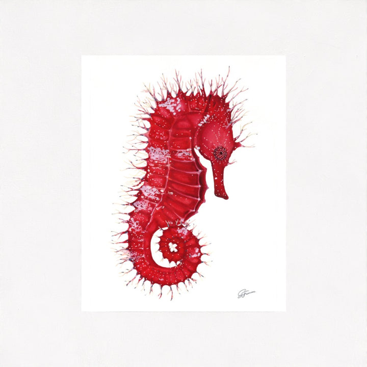 Seahorse Serenade Fine Art Print | Premium Collection