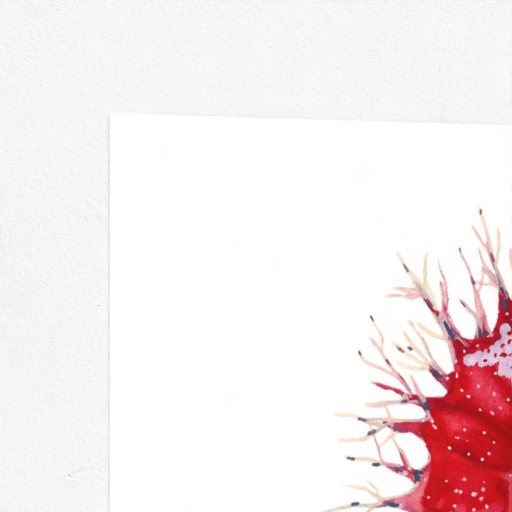 Seahorse Serenade Fine Art Print | Premium Collection