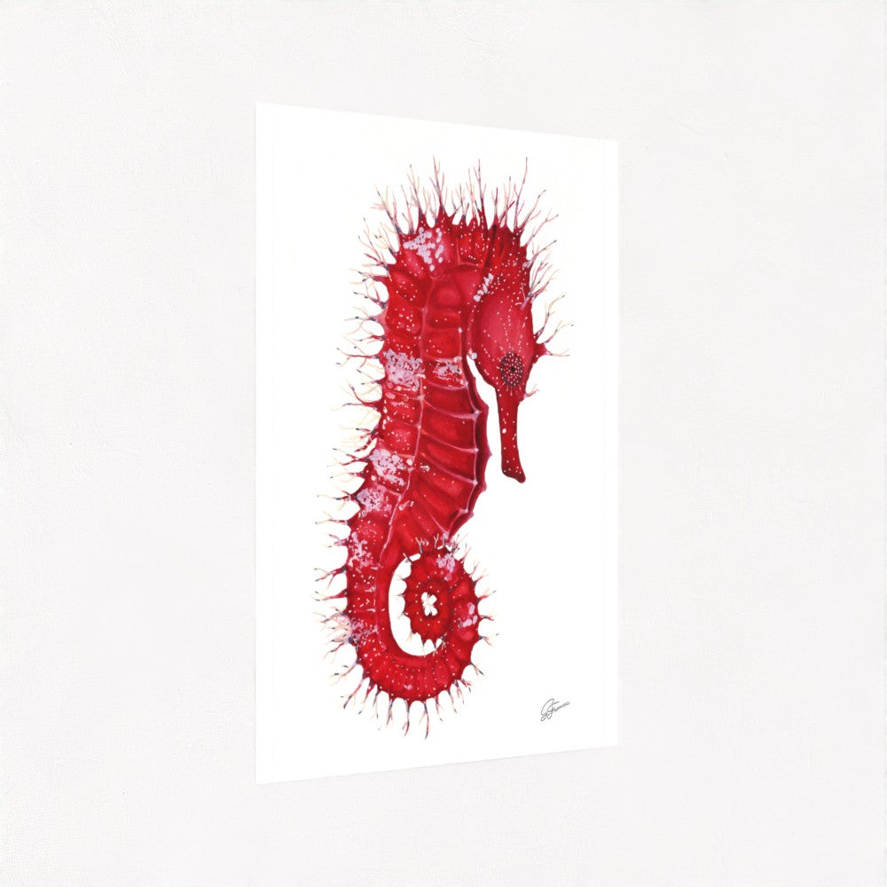Seahorse Serenade Fine Art Print | Premium Collection