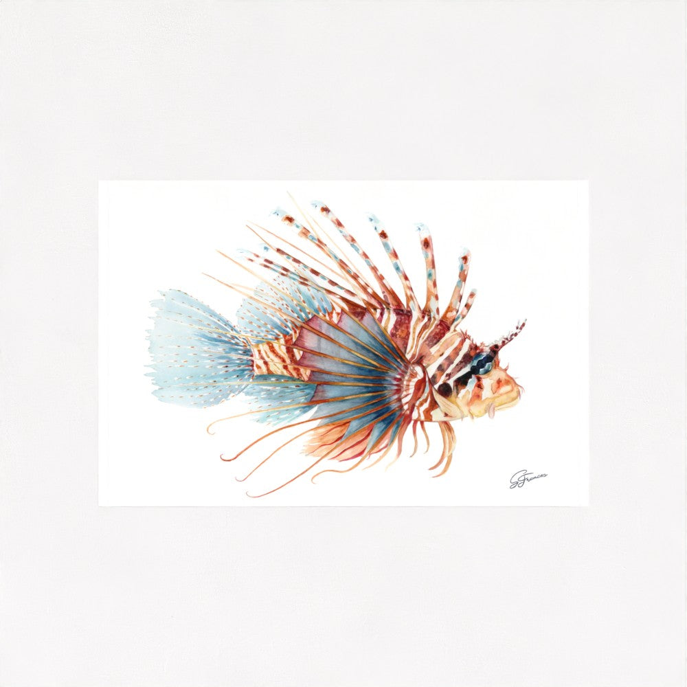 Lionfish Watercolour Fine Art Print | Premium Collection