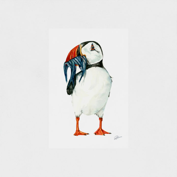 Clown of The Sea Watercolour Fine Art Print |  Premium Collection