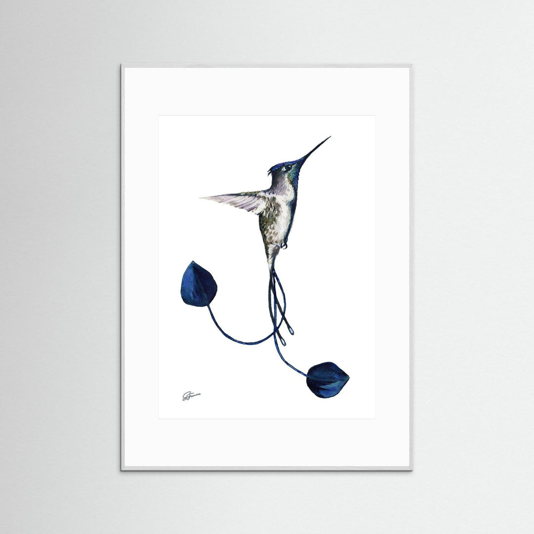 Devotion's Delight Hummingbird | Fine Art Print
