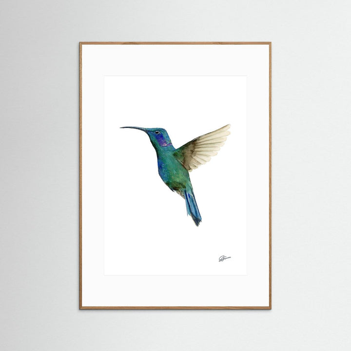 Hummingbird in Flight | Fine Art Print