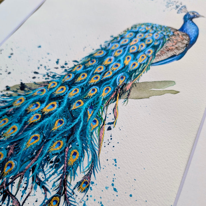 Colorful peacock illustration on a textured surface