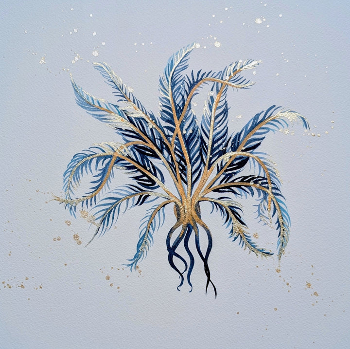 Midnight Bower