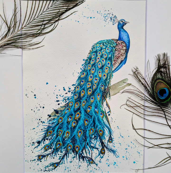 Artistic illustration of a peacock with feathers on a light background