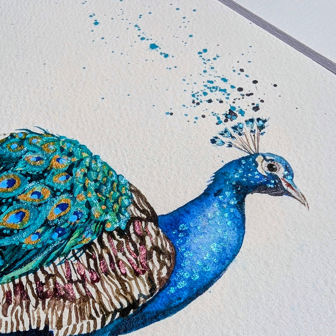 Colorful illustration of a peacock on a white background