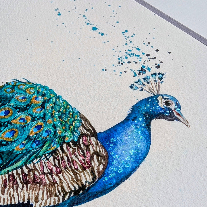Colorful illustration of a peacock on a white background