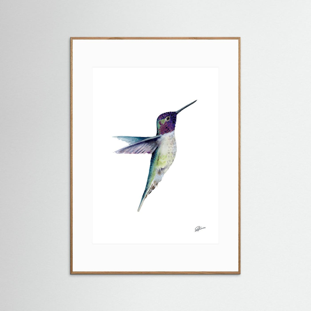 Miniature Majesty Hummingbird | Fine Art Print