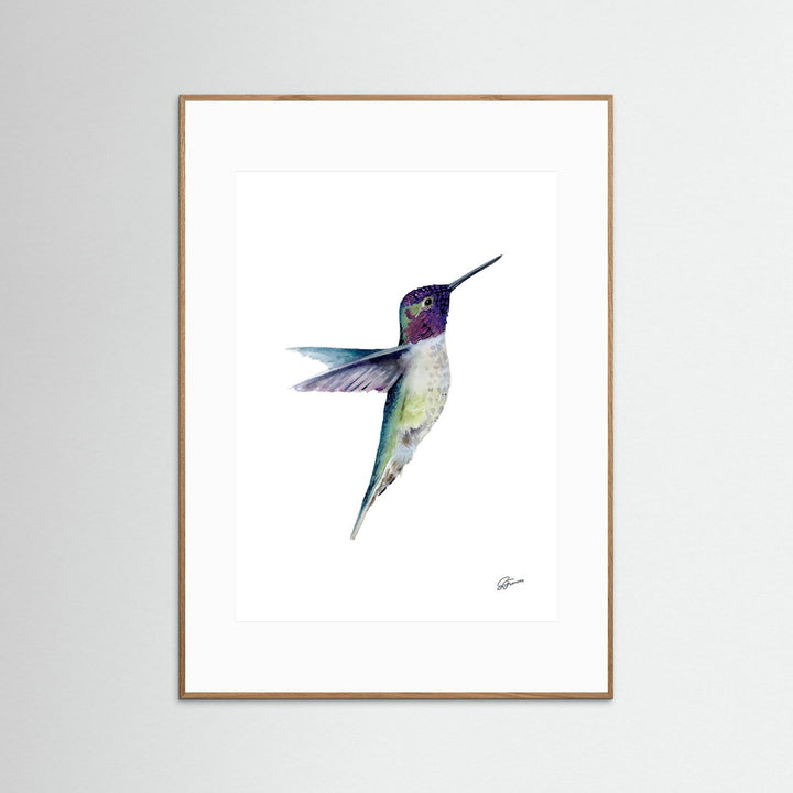 Miniature Majesty Hummingbird | Fine Art Print