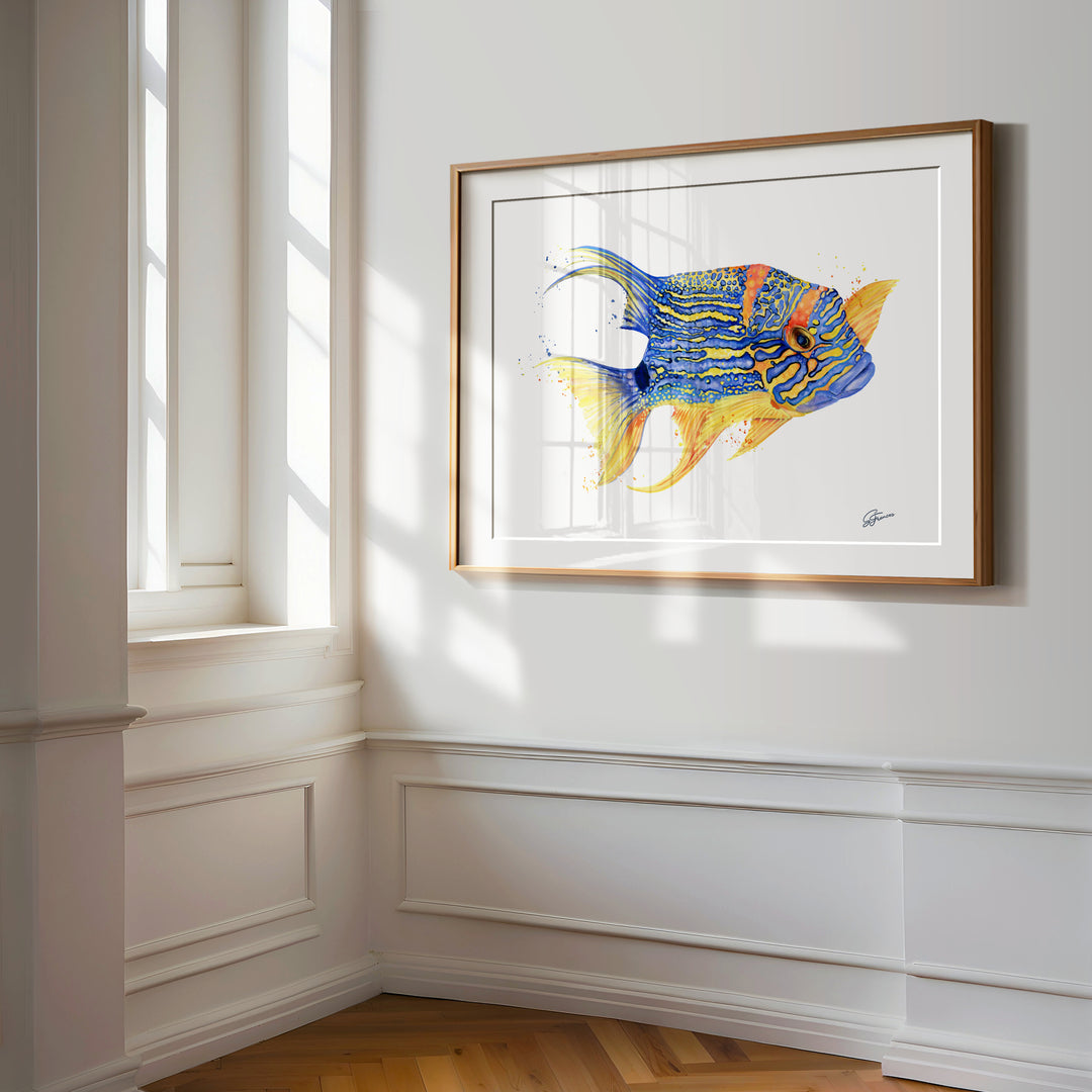 Framed artwork of a colorful fish on a white wall with natural light.