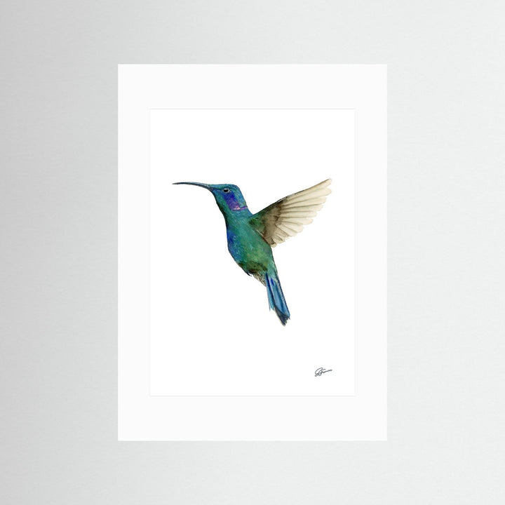 Hummingbird in Flight | Fine Art Print