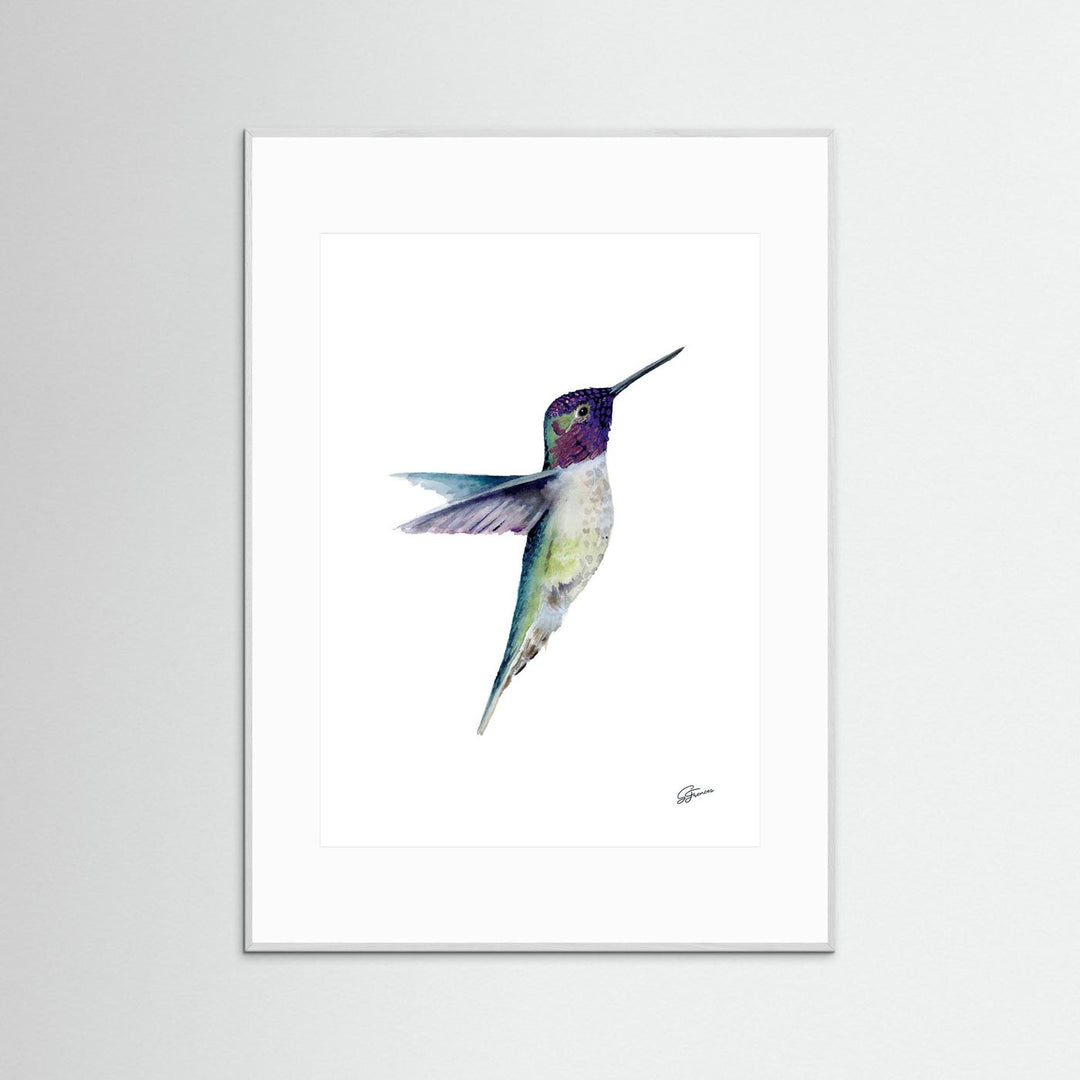 Miniature Majesty Hummingbird | Fine Art Print