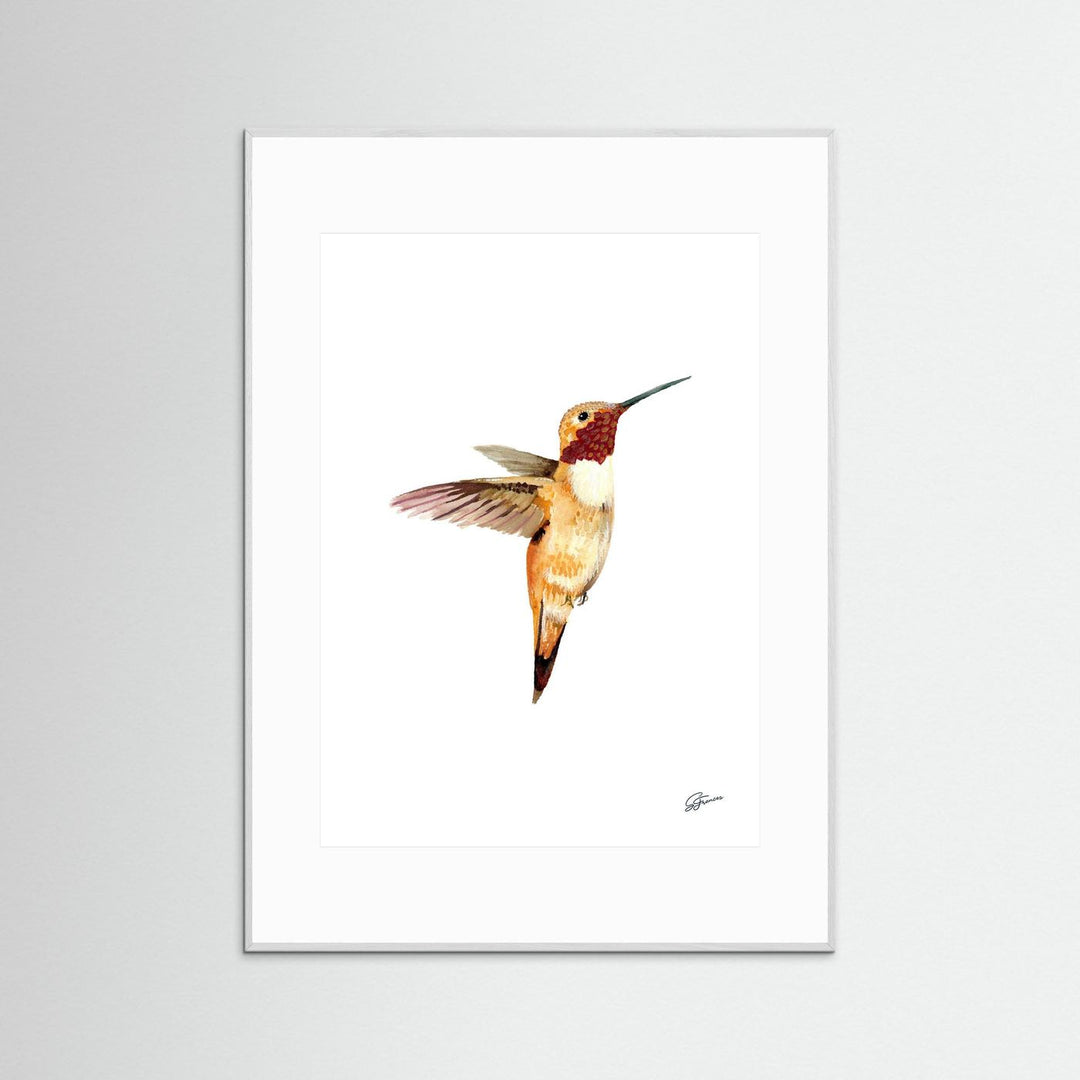 Flight of Elegance Hummingbird | Fine Art Print